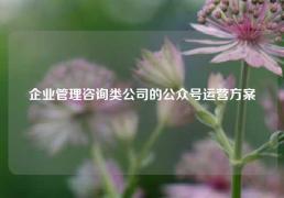 企业管理咨询类公司的公众号运营方案（文末送福利）