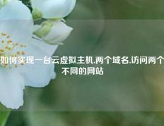 如何实现一台云虚拟主机,两个域名,访问两个不同的网站