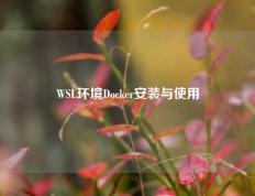 WSL环境Docker安装与使用