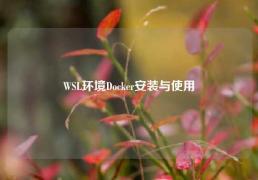 WSL环境Docker安装与使用