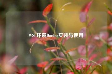 WSL环境Docker安装与使用