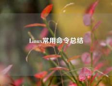 Linux常用命令总结