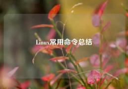 Linux常用命令总结
