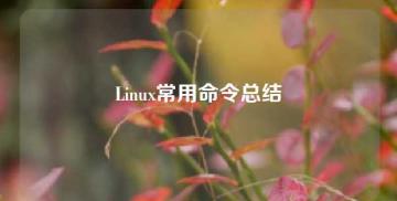 Linux常用命令总结