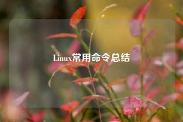 Linux常用命令总结