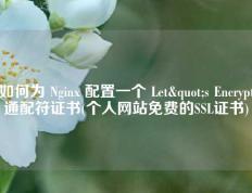 如何为 Nginx 配置一个 Let`s Encrypt 通配符证书(个人网站免费的SSL证书) 