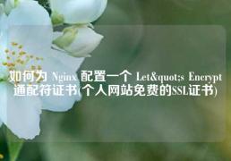 如何为 Nginx 配置一个 Let`s Encrypt 通配符证书(个人网站免费的SSL证书) 